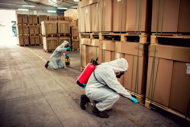 Best Pest Prevention Services  in Patrick Af, FL
