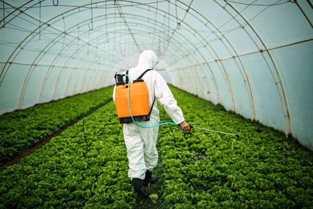 Best Best Pest Control Companies  in Patrick Af, FL