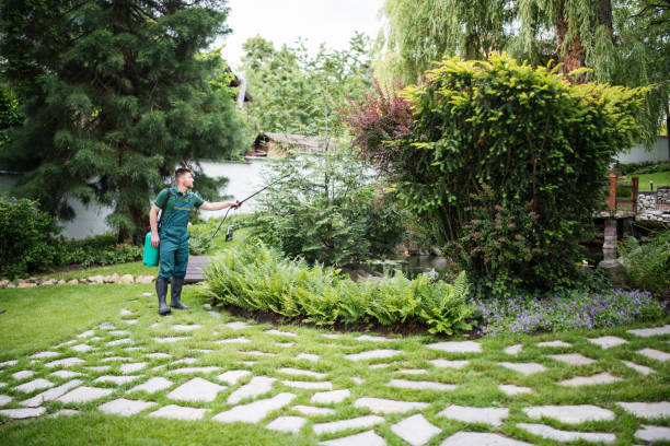 Best Best Pest Control Companies  in Patrick Af, FL