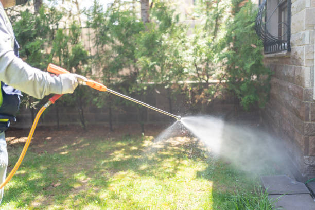 Best Termite Control Services  in Patrick Af, FL
