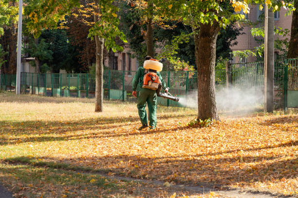 Best Commercial Pest Control Services  in Patrick Af, FL