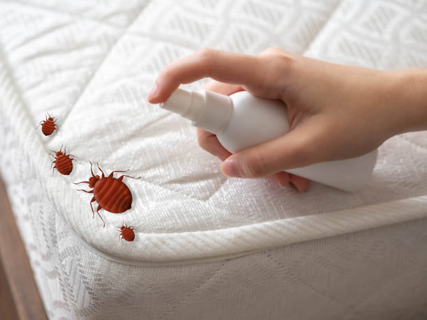 Best Pest Control for Restaurants  in Patrick Af, FL