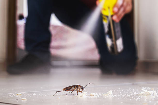 Best Pest Control Near Me  in Patrick Af, FL
