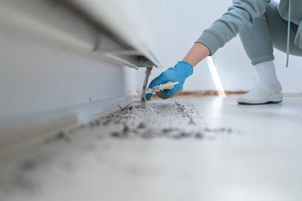 Best Best Pest Control Companies  in Patrick Af, FL